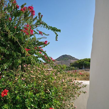 Amelie Villa With Pool And Amazing Sea Views, Paros Márpissa Zewnętrze zdjęcie