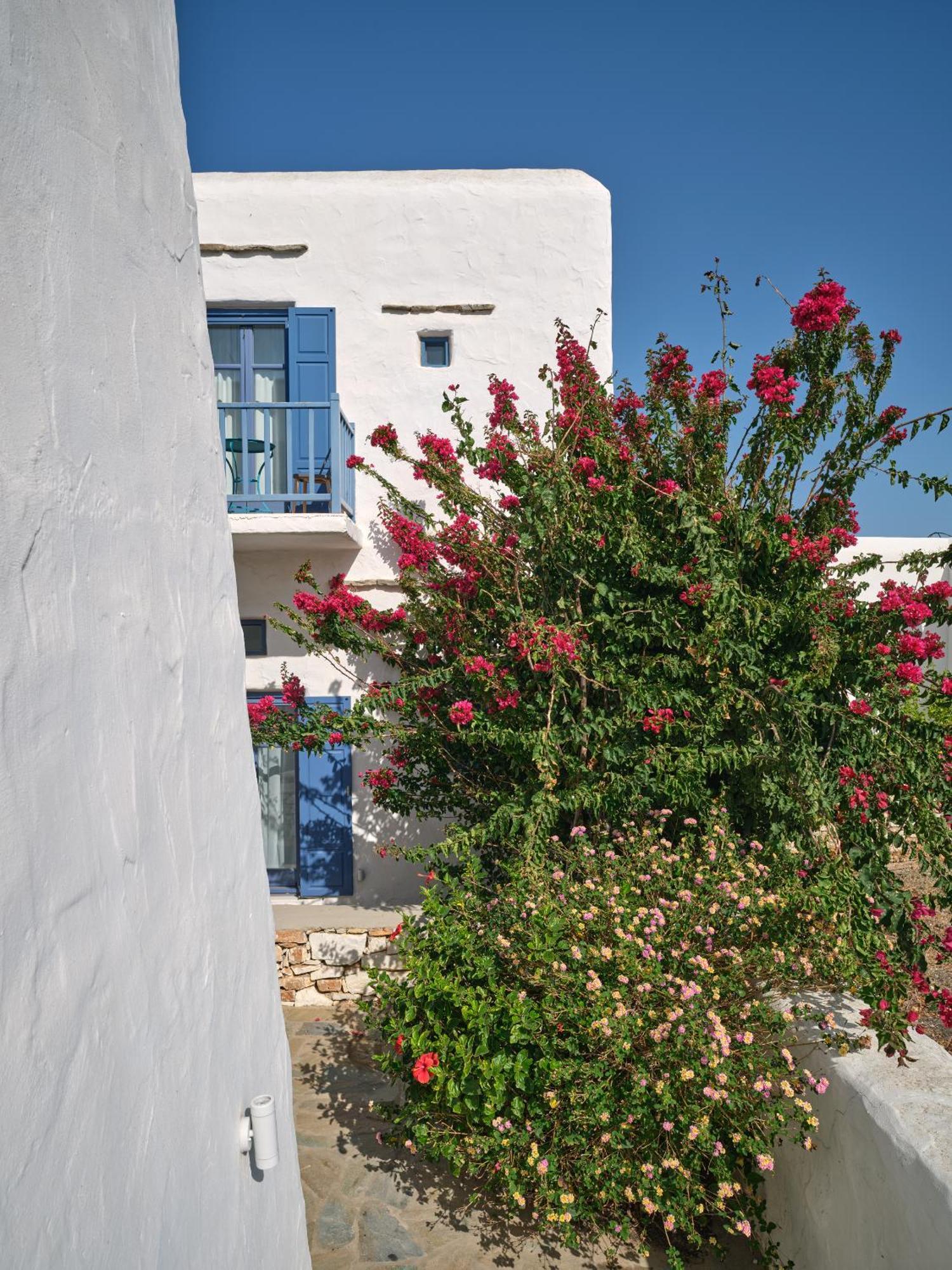 Amelie Villa With Pool And Amazing Sea Views, Paros Márpissa Zewnętrze zdjęcie
